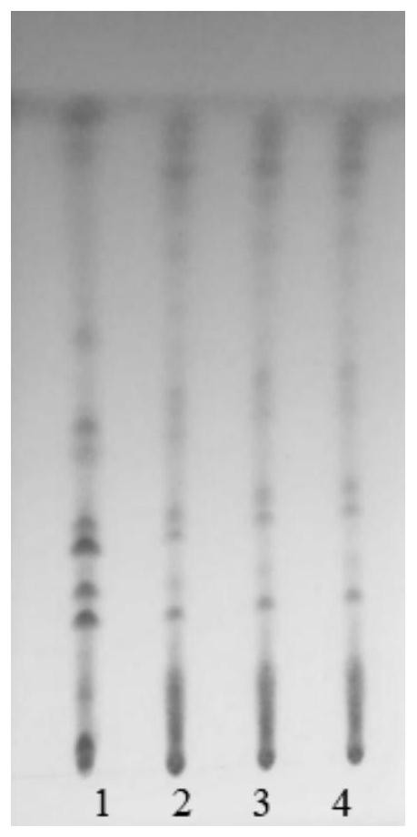 Detection method of Sanhuang granules