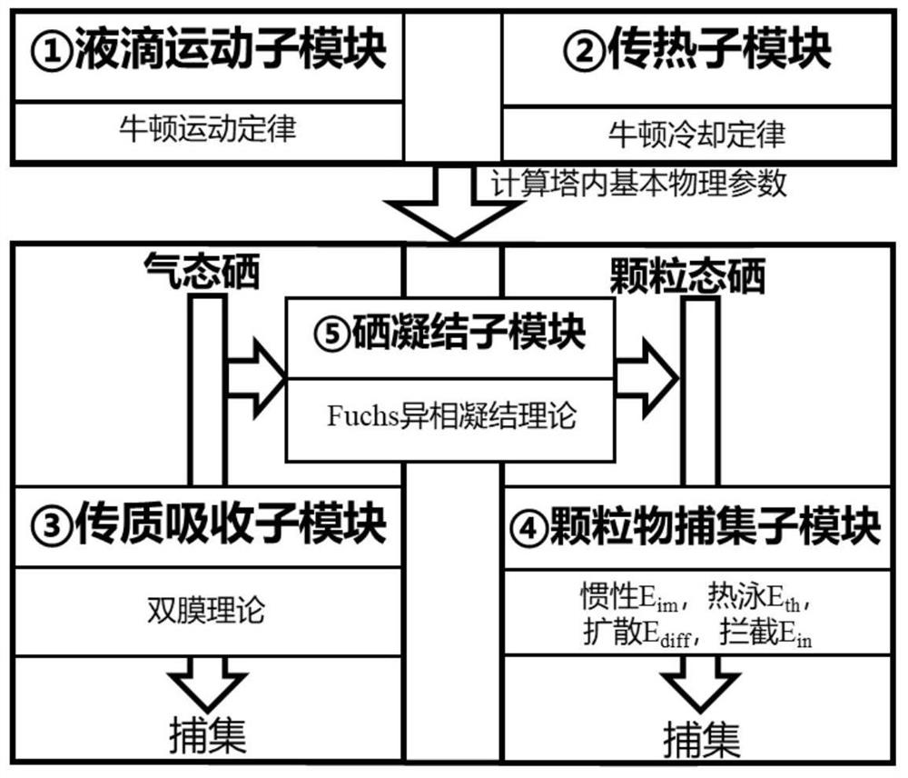 Particle input amount calculation method based on selenium removal model, and application thereof