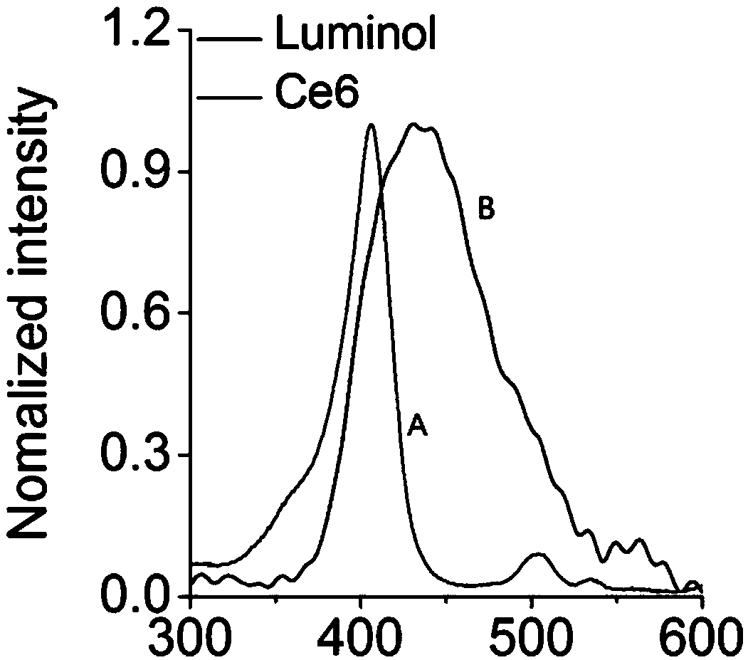 In-situ reactive oxygen species and myeloperoxidase responsive self-luminous polymer material as well as preparation method and application thereof