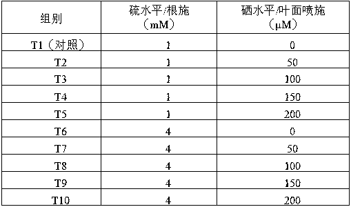 Method for simultaneously increasing sulforaphane content and selenium content in edible organs of brassica vegetables