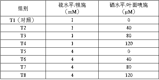 Method for simultaneously increasing sulforaphane content and selenium content in edible organs of brassica vegetables