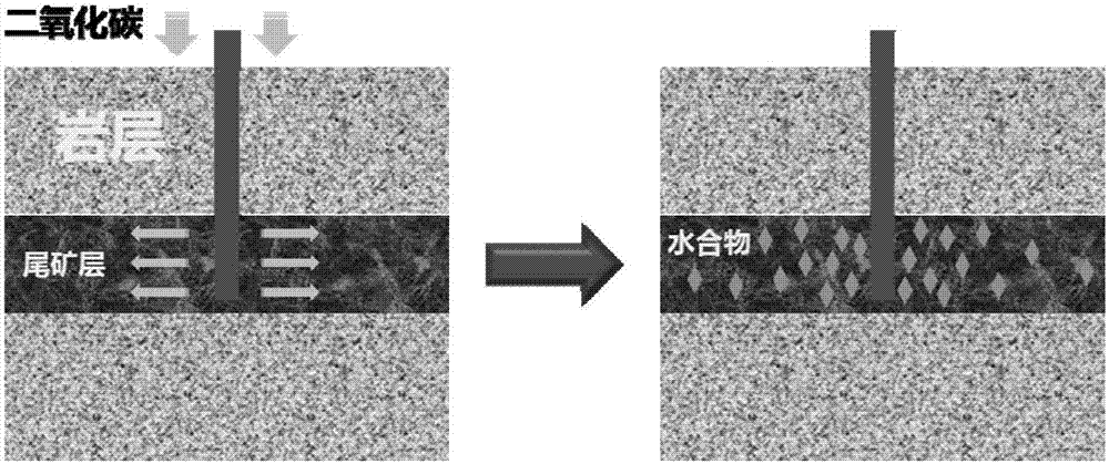 Geological carbon dioxide sequestration structure and sequestration method