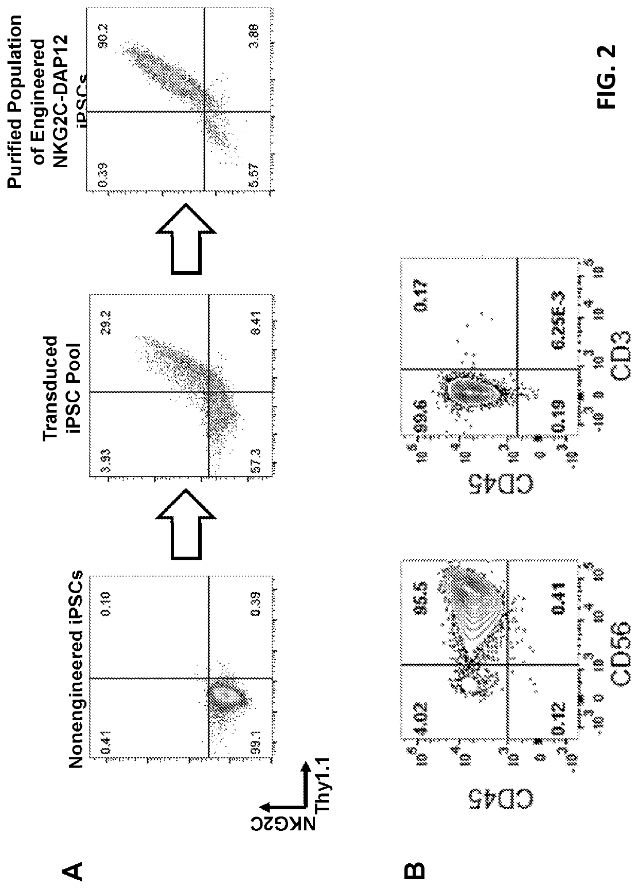 IMMUNOTHERAPIES USING ENHANCED iPSC DERIVED EFFECTOR CELLS