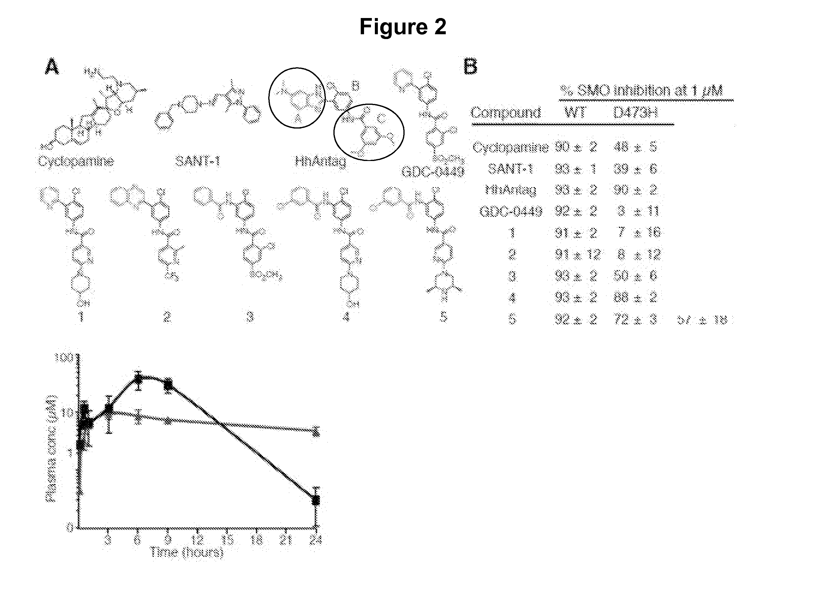 Mutant smoothened and methods of using the same