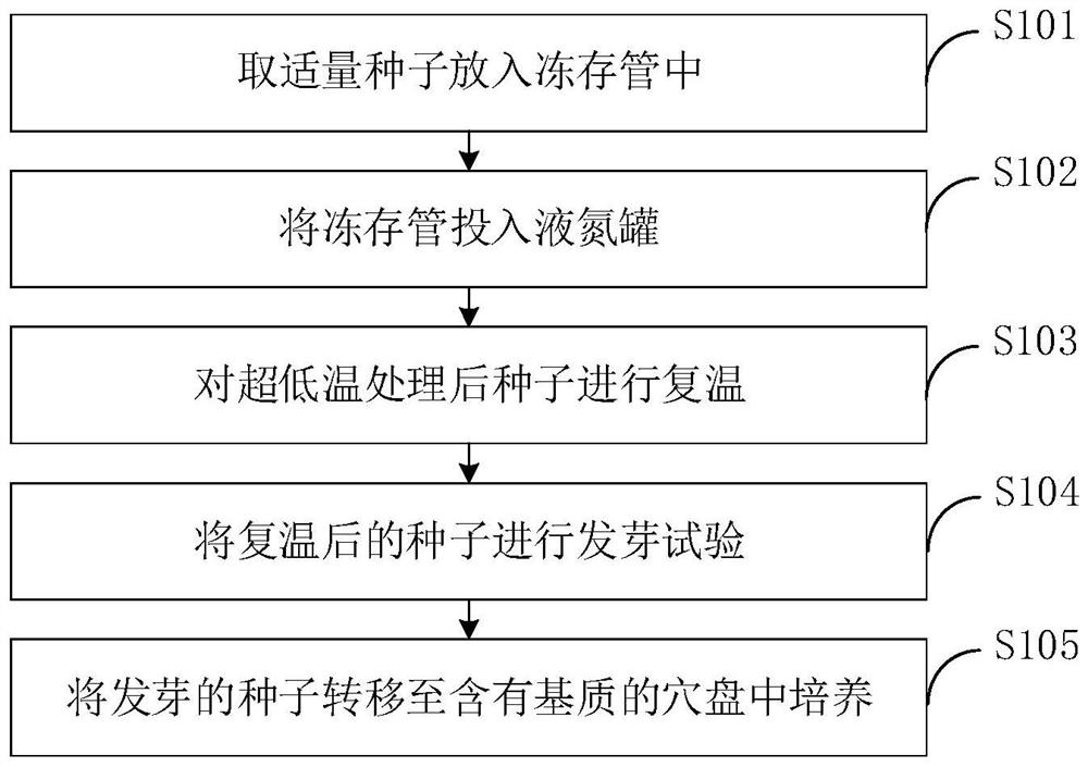 Ultralow-temperature preservation method for allium tuberosum type vegetable seeds