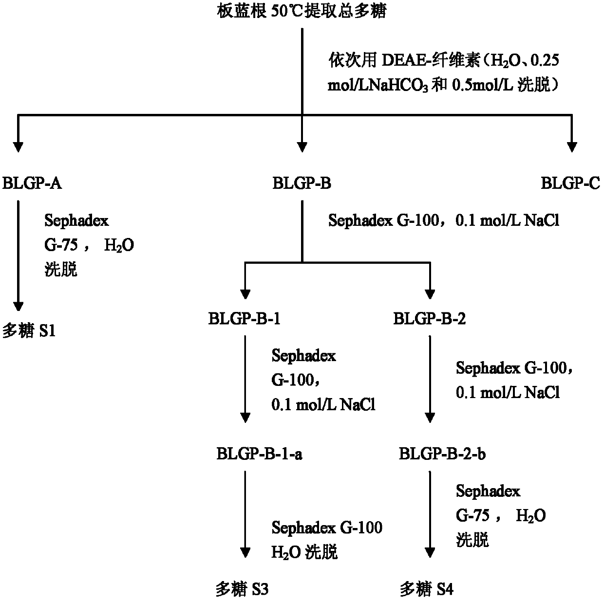 Isatis root polysaccharides, and preparation method and use thereof