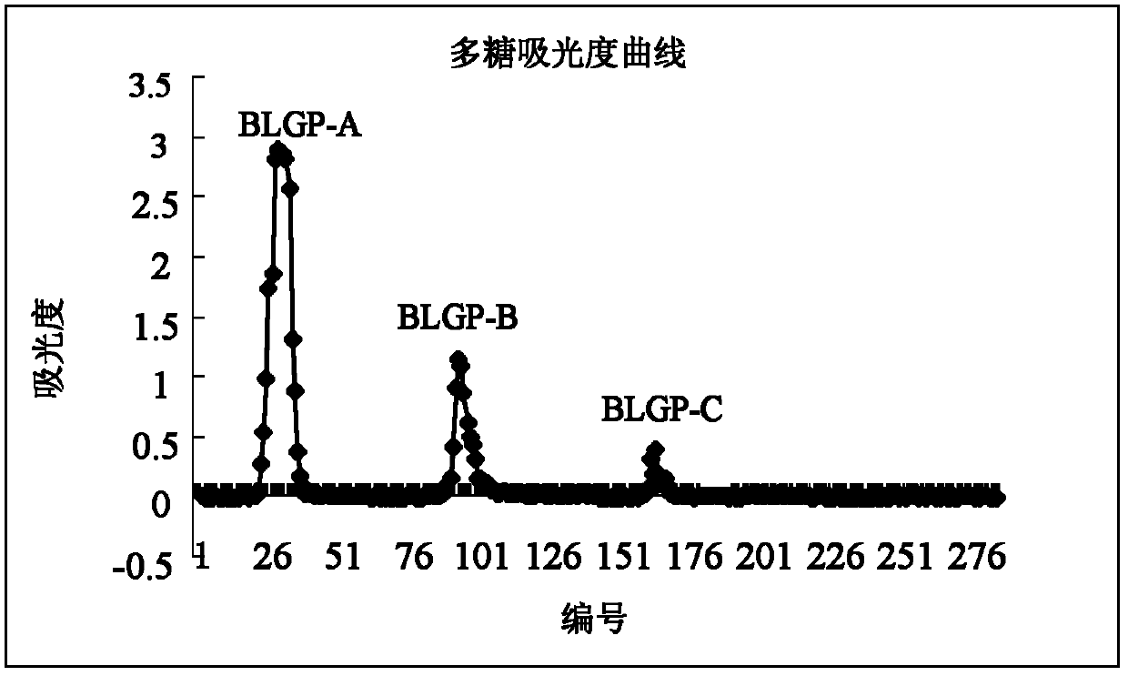 Isatis root polysaccharides, and preparation method and use thereof