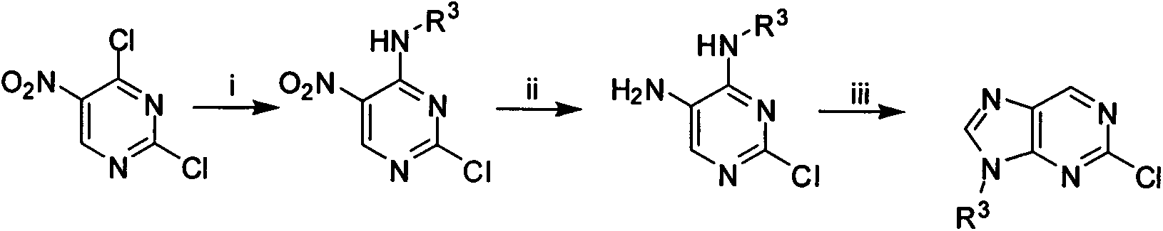 2-phenylaminopurine plk1 (polo-like kinase 1) inhibitors and applications thereof