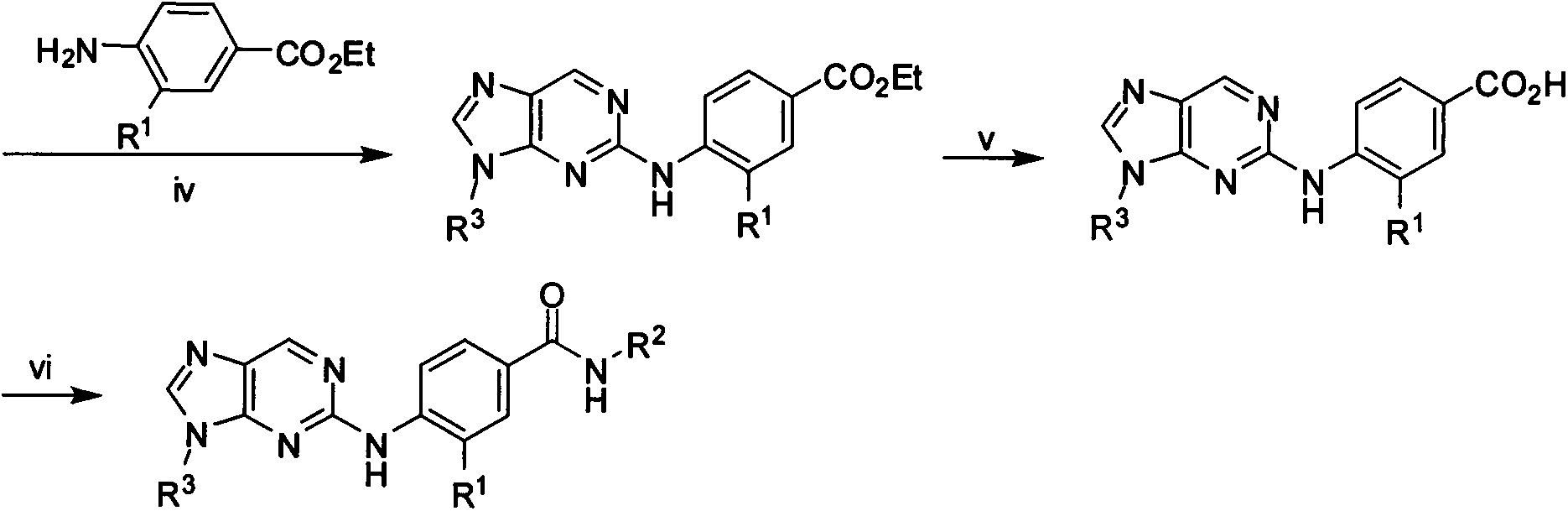 2-phenylaminopurine plk1 (polo-like kinase 1) inhibitors and applications thereof