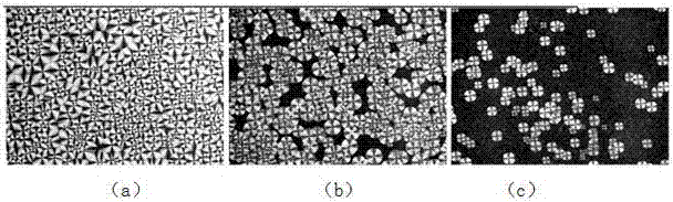 Polyvinylidene fluoride composite oriented dielectric film with high beta-crystal content and preparation method of dielectric film