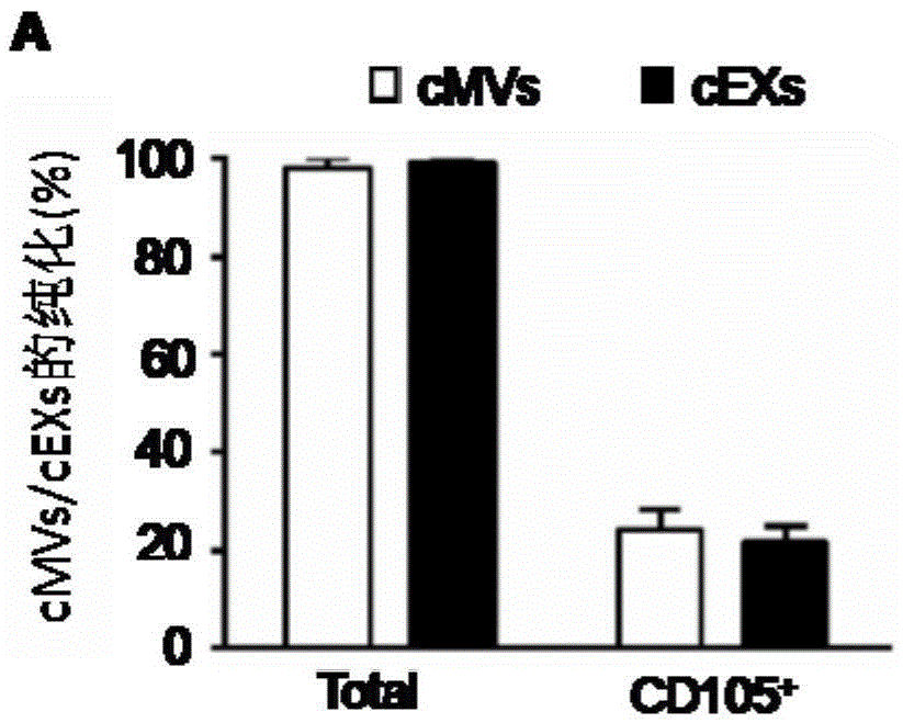 Method for detecting EVs (extracellular vesicles) released by ECs (endothelial cells) and EPCs (endothelial progenitor cells) in blood