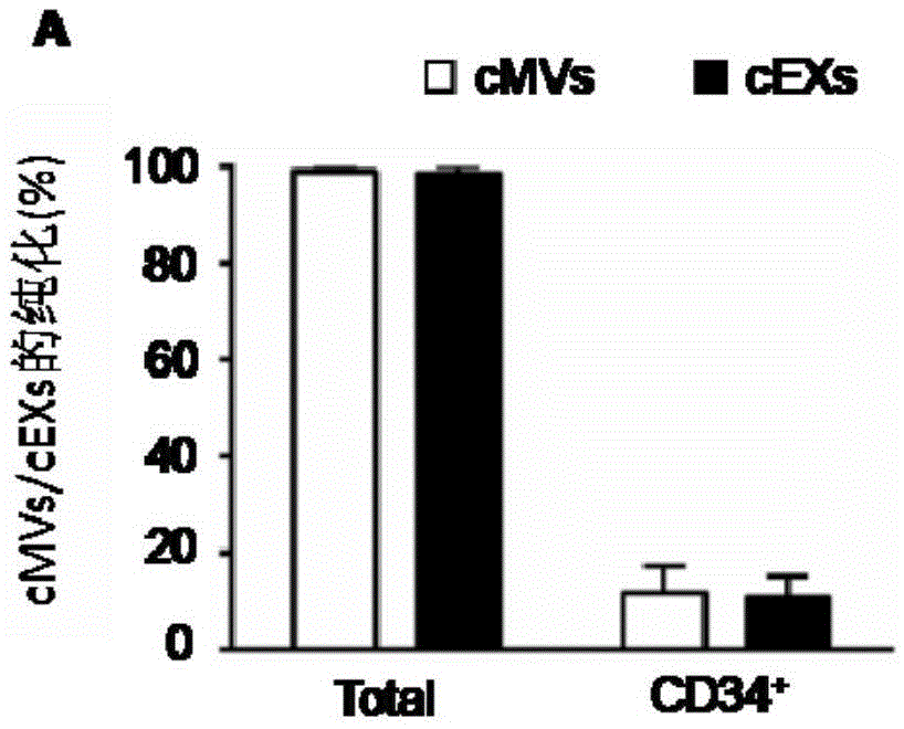 Method for detecting EVs (extracellular vesicles) released by ECs (endothelial cells) and EPCs (endothelial progenitor cells) in blood