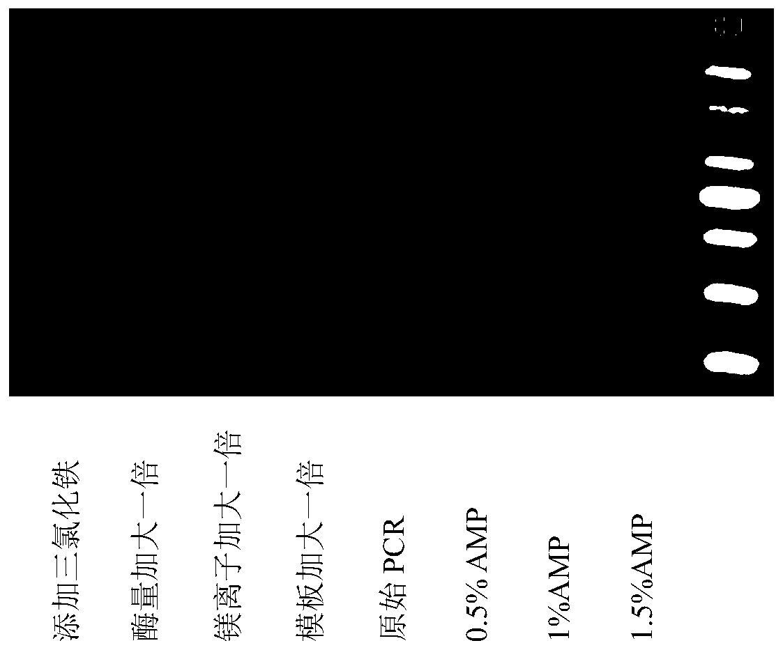 Method for improving PCR (polymerase chain reaction) amplification efficiency