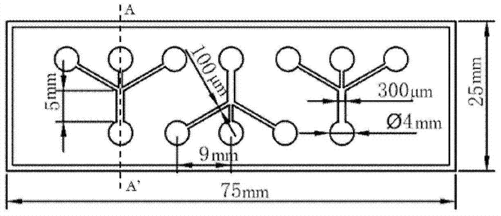 Microfluidic chip for reconstructing bone cell microenvironment and its application method