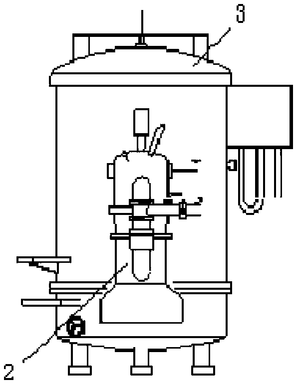 Vacuum pulse hydrogen annealing apparatus and method for electric pure iron