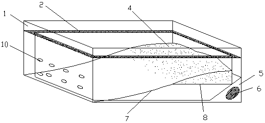 Young turtle culture tank