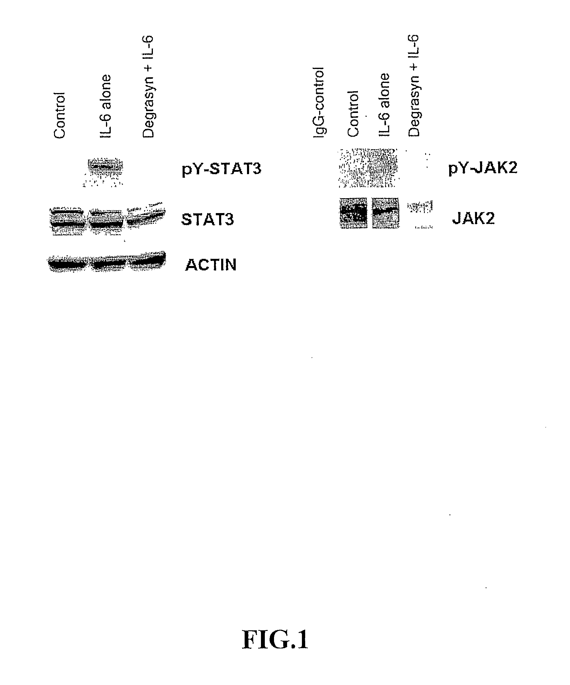 Tryphostin-analogs for the treatment of cell proliferative diseases