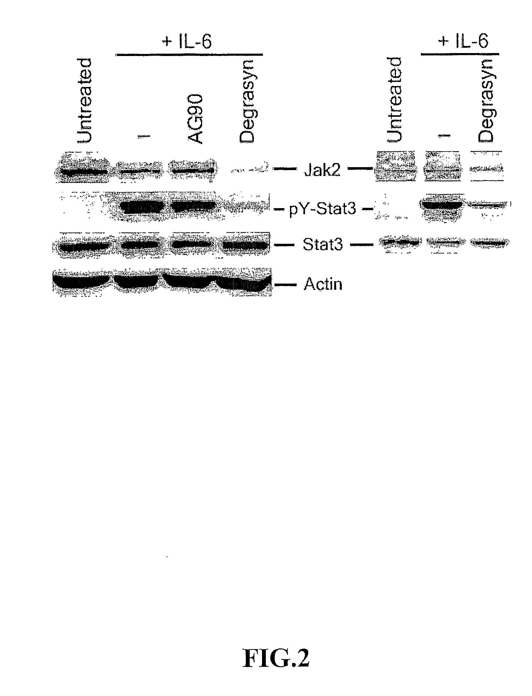 Tryphostin-analogs for the treatment of cell proliferative diseases