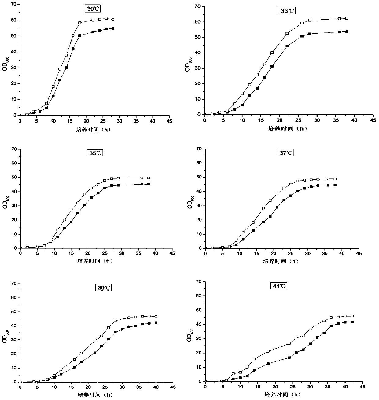 A high-efficiency xylose-fermenting mutant strain and a method for producing ethanol by fermentation thereof