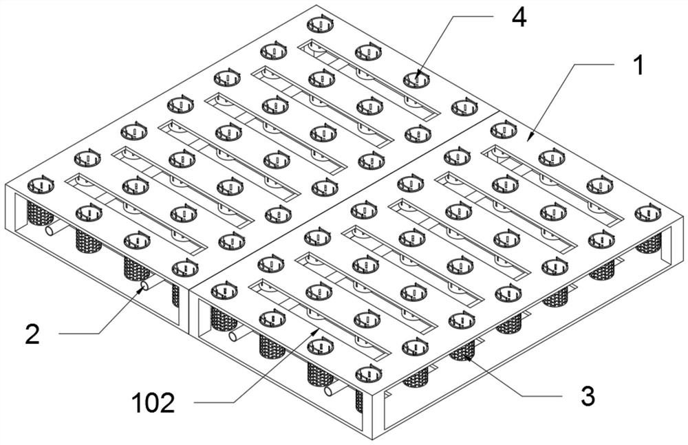 Auxiliary cultivation device for raising forestry seedlings