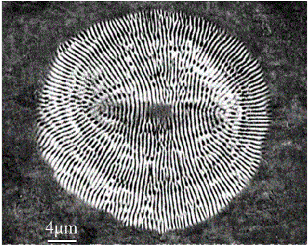 Femtosecond laser direct writing preparation method of two-dimensional submicron butterfly-shaped metal microstructure