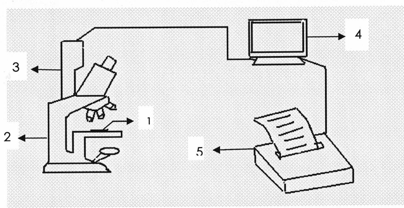 Method and device for automatically restoring, measuring and classifying steel dimple images