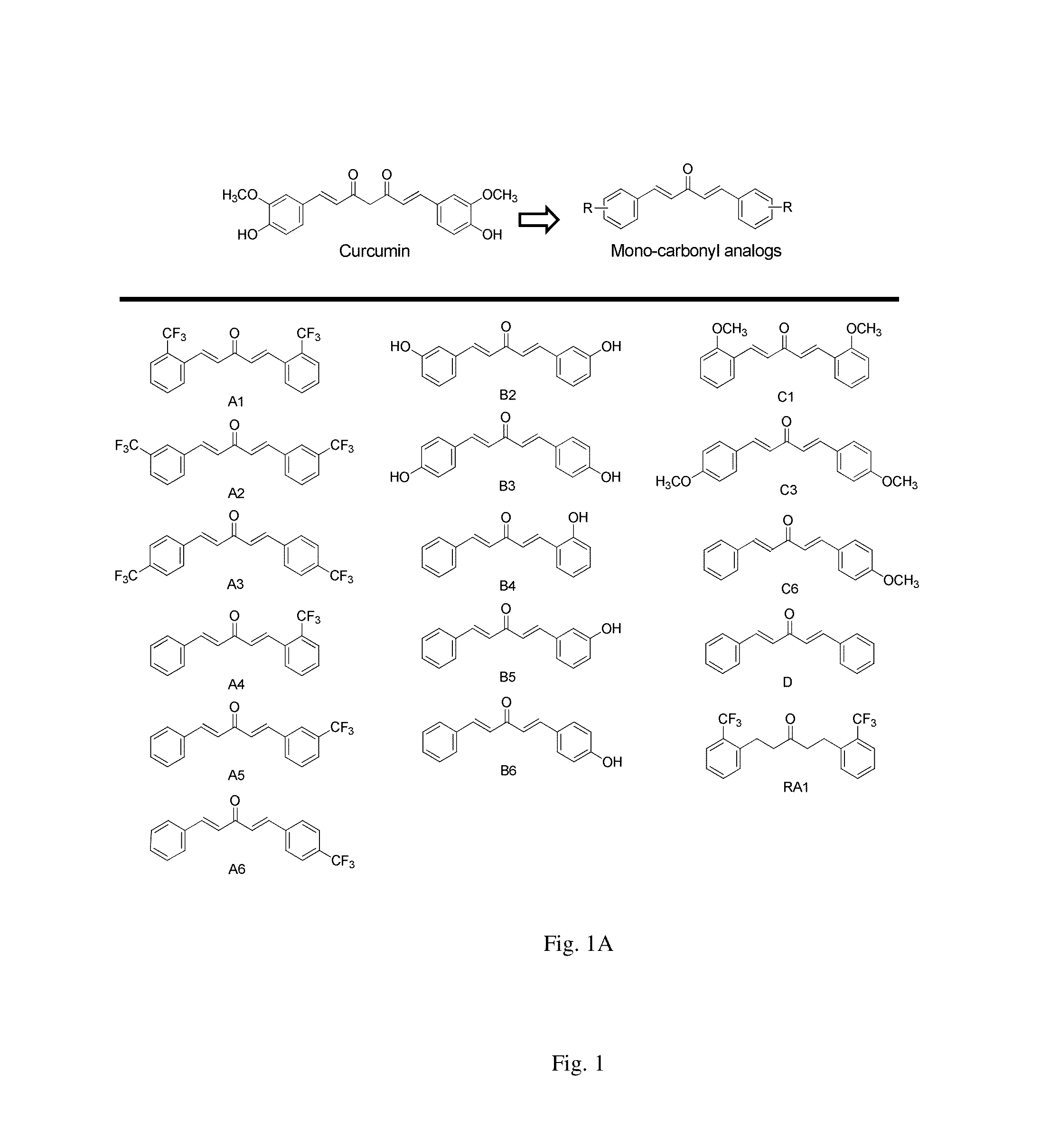 MTOR-independent activator of TFEB for autophagy enhancement and uses thereof