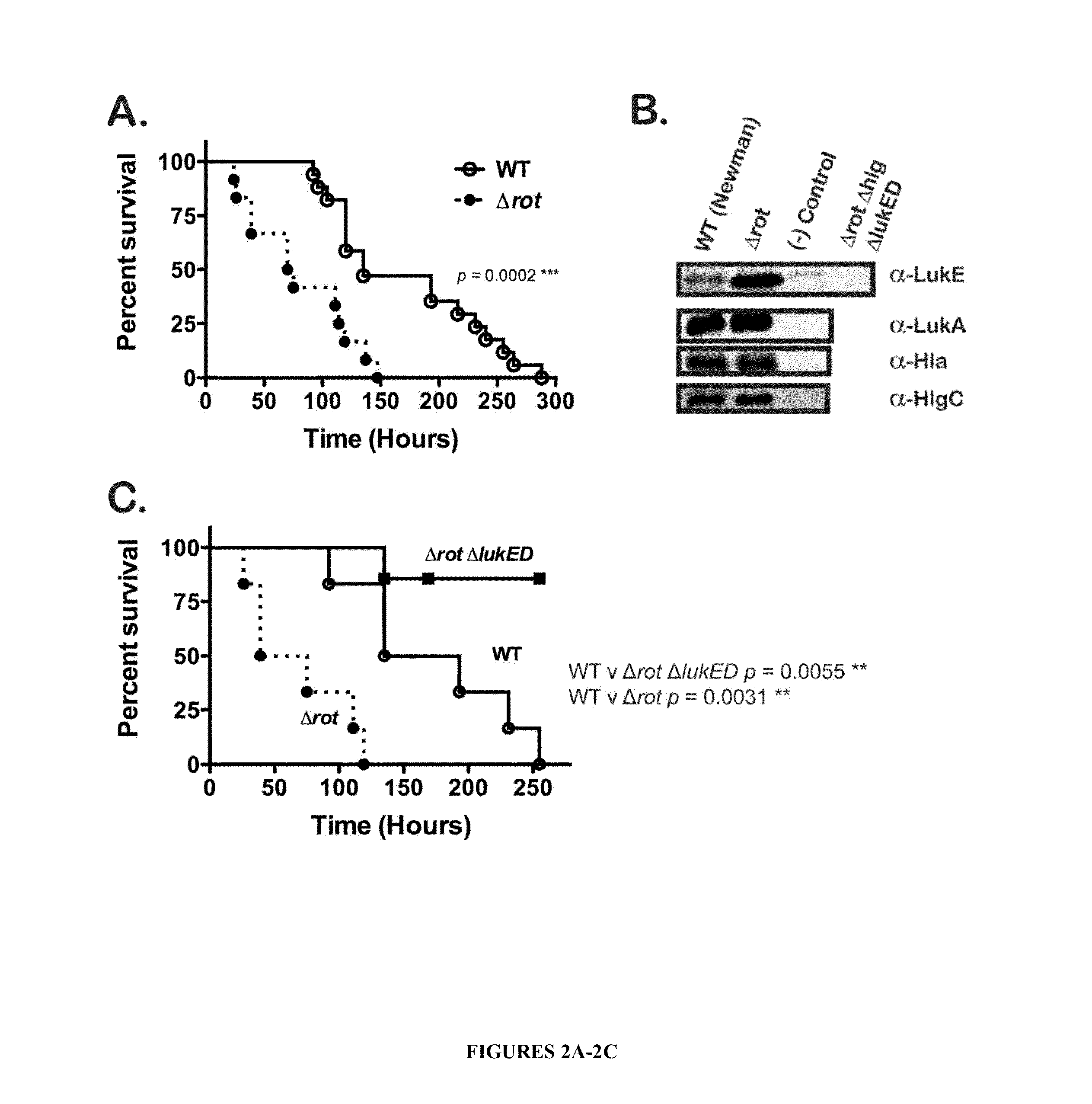 Methods of treating and preventing staphylococcus aureus infections and  associated conditions