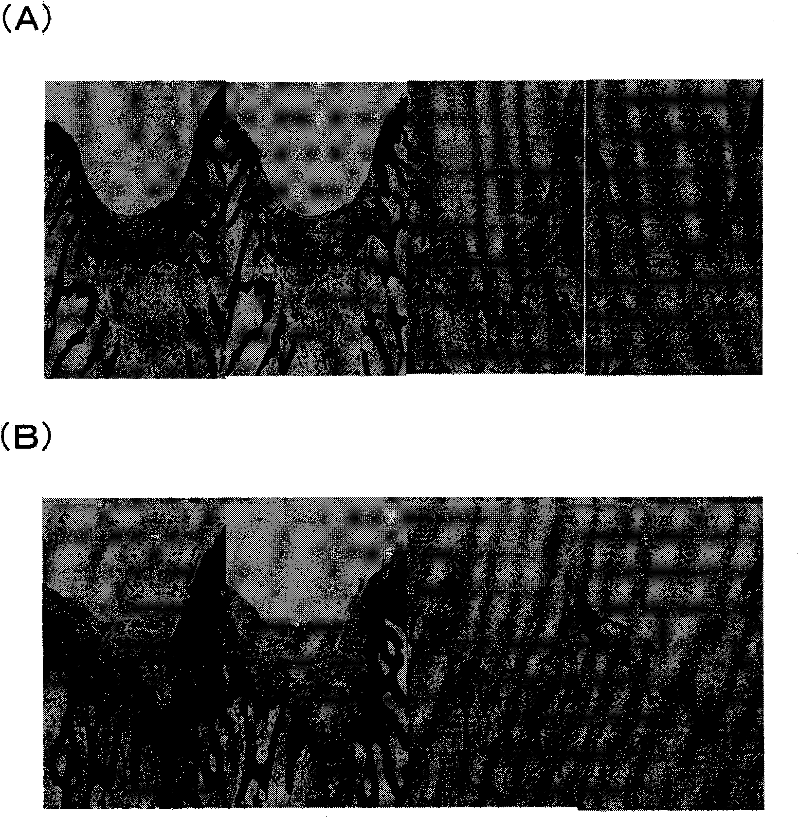 Composition for treatment of joint disease