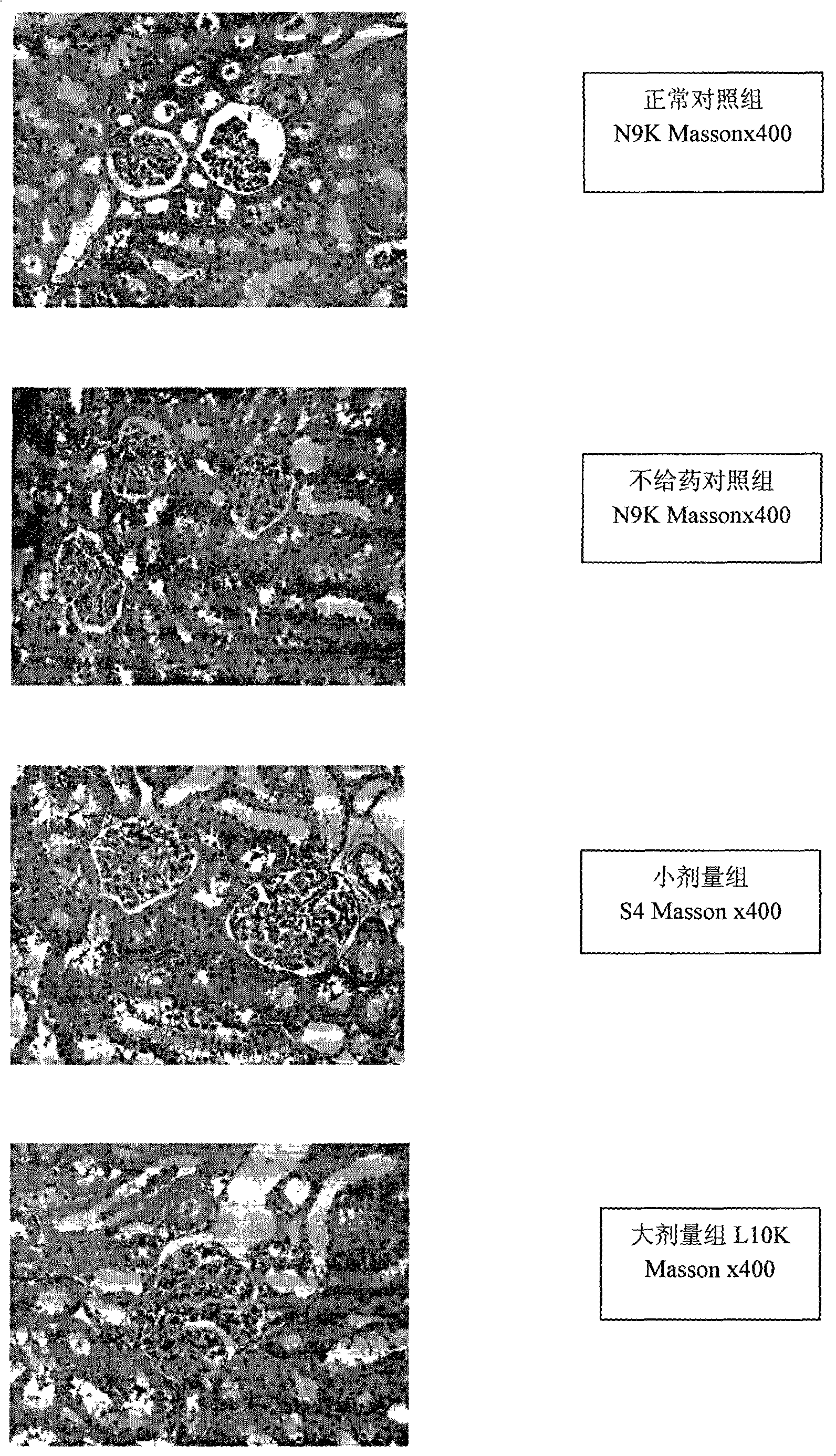 Active extract containing phlorizin and uses thereof