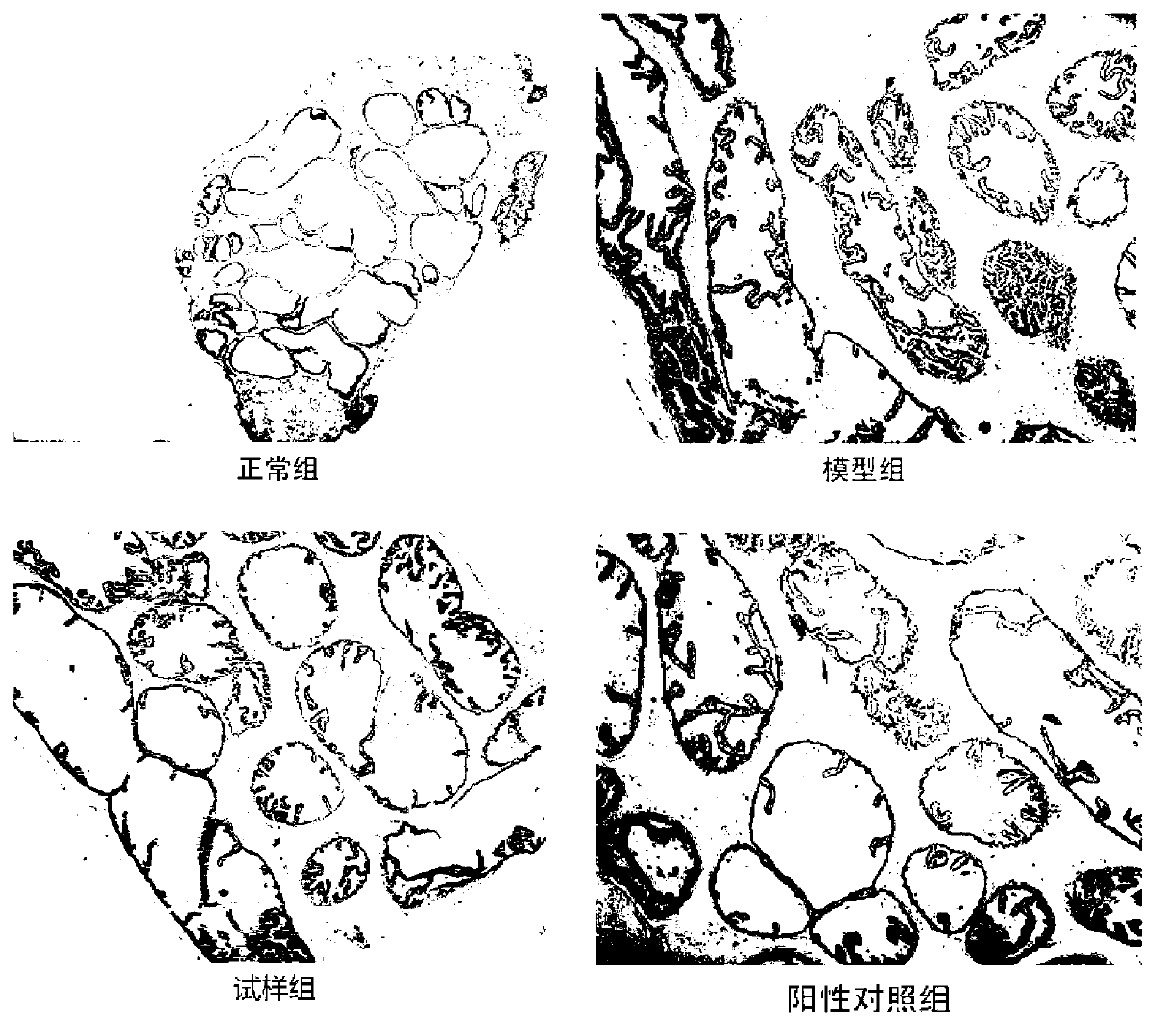 Application of nymphaea hybrid or product thereof