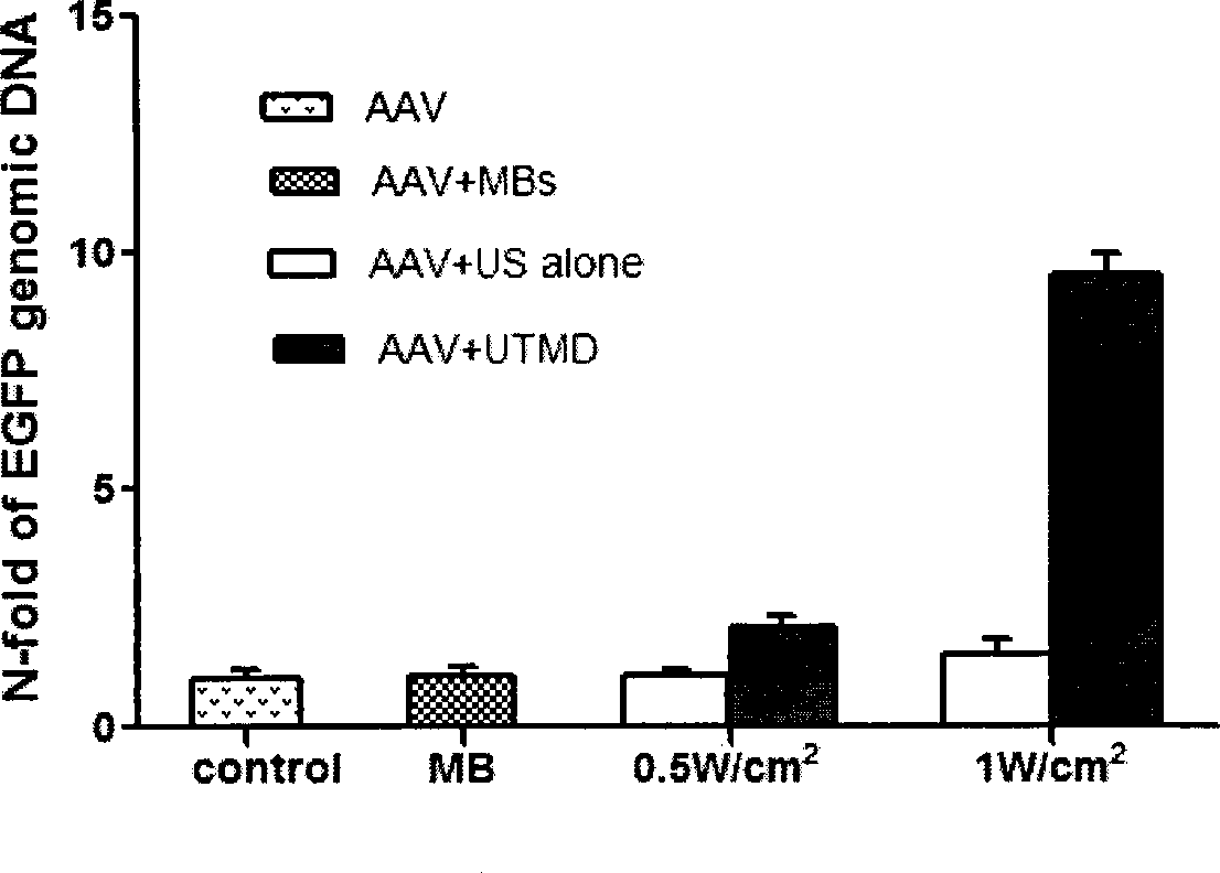 Method for mediated gene transfection