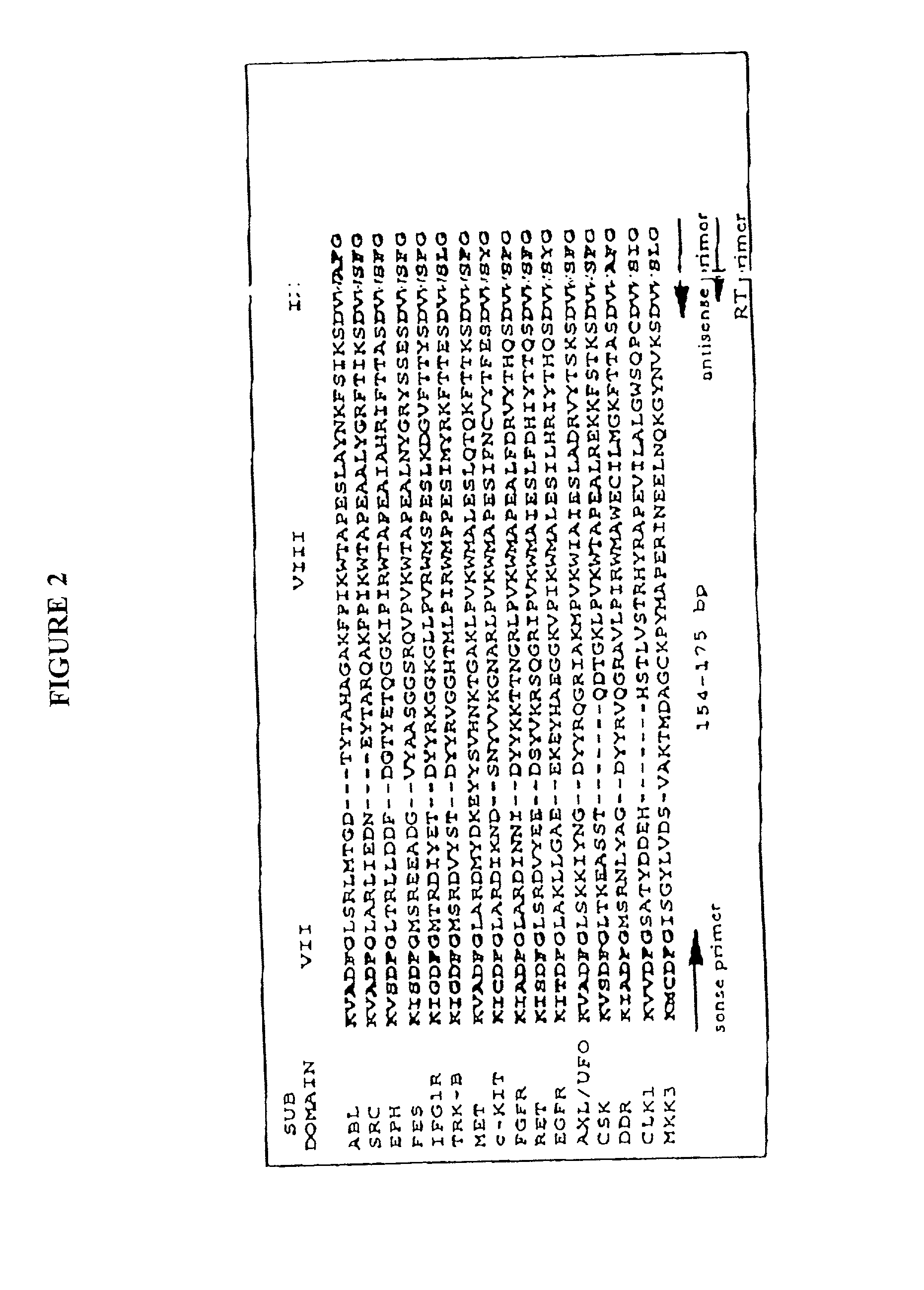 Analysis of gene family expression