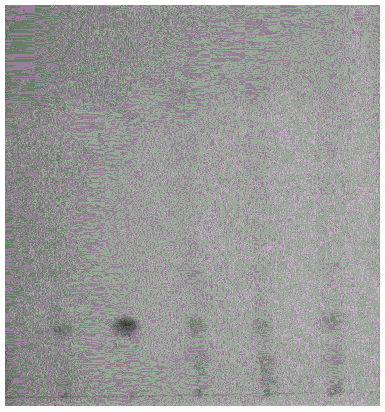 Identification method of harpagoside in ginseng superfine powder