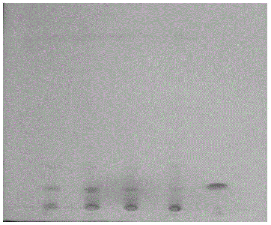 Identification method of harpagoside in ginseng superfine powder