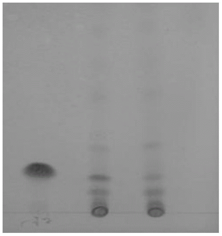 Identification method of harpagoside in ginseng superfine powder