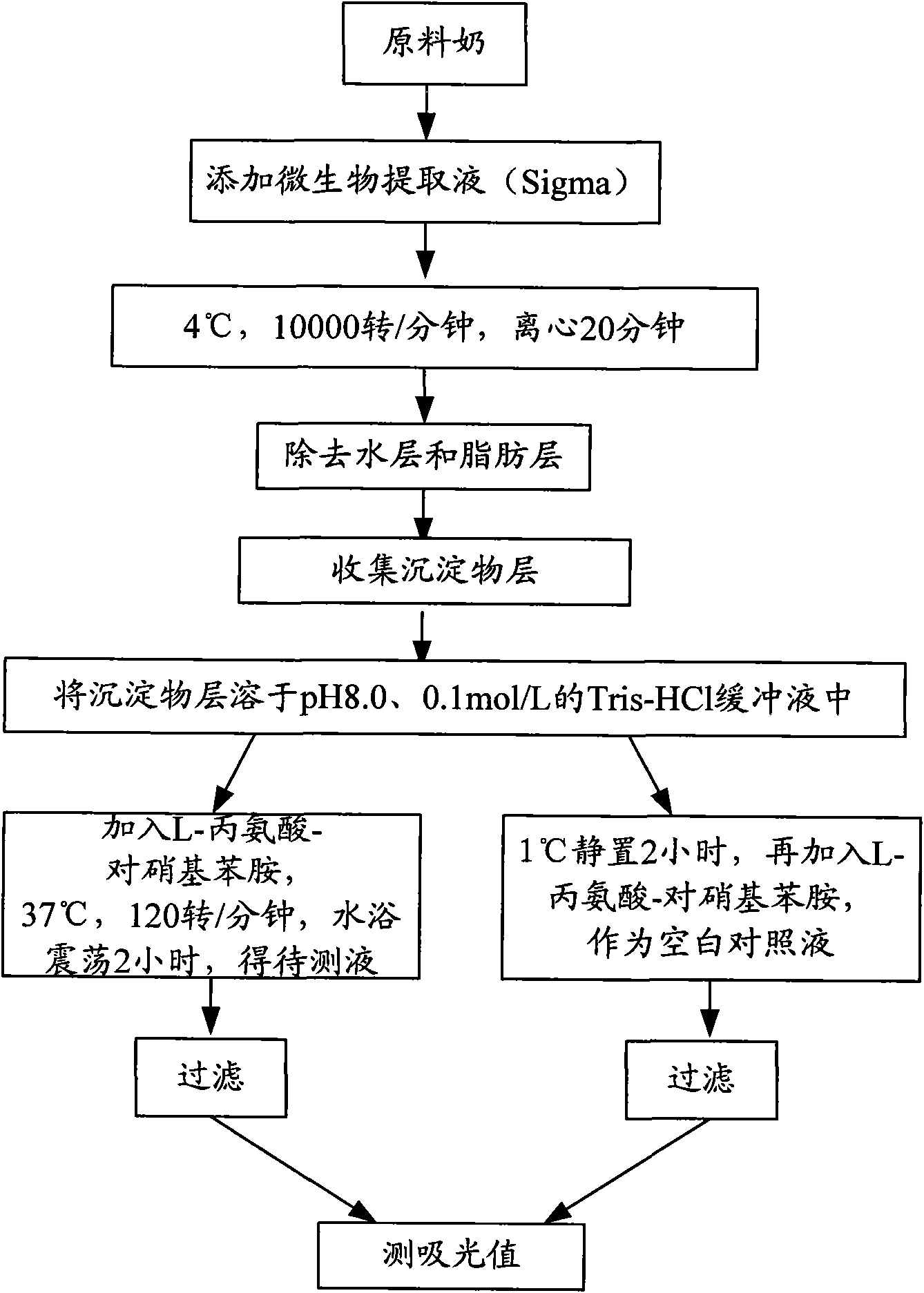 Method for detecting psychrophilic bacteria in crude milk by utilizing aminopeptidase method