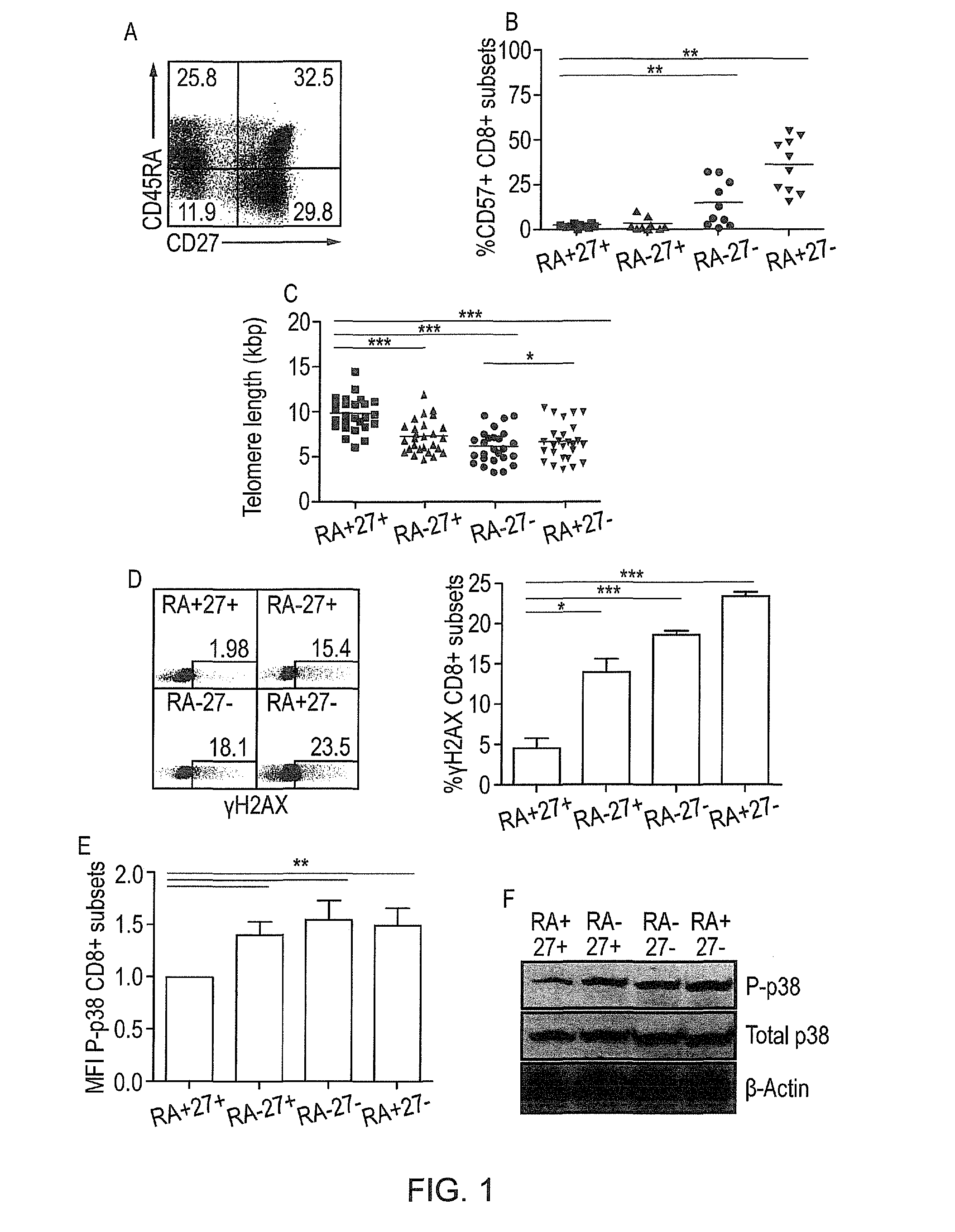 Method to improve the immune function of t cells