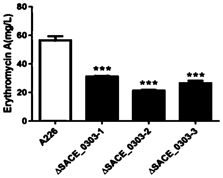 Method for increasing yield of erythromycin by transforming streptomyces erythraea SACE_0303 gene