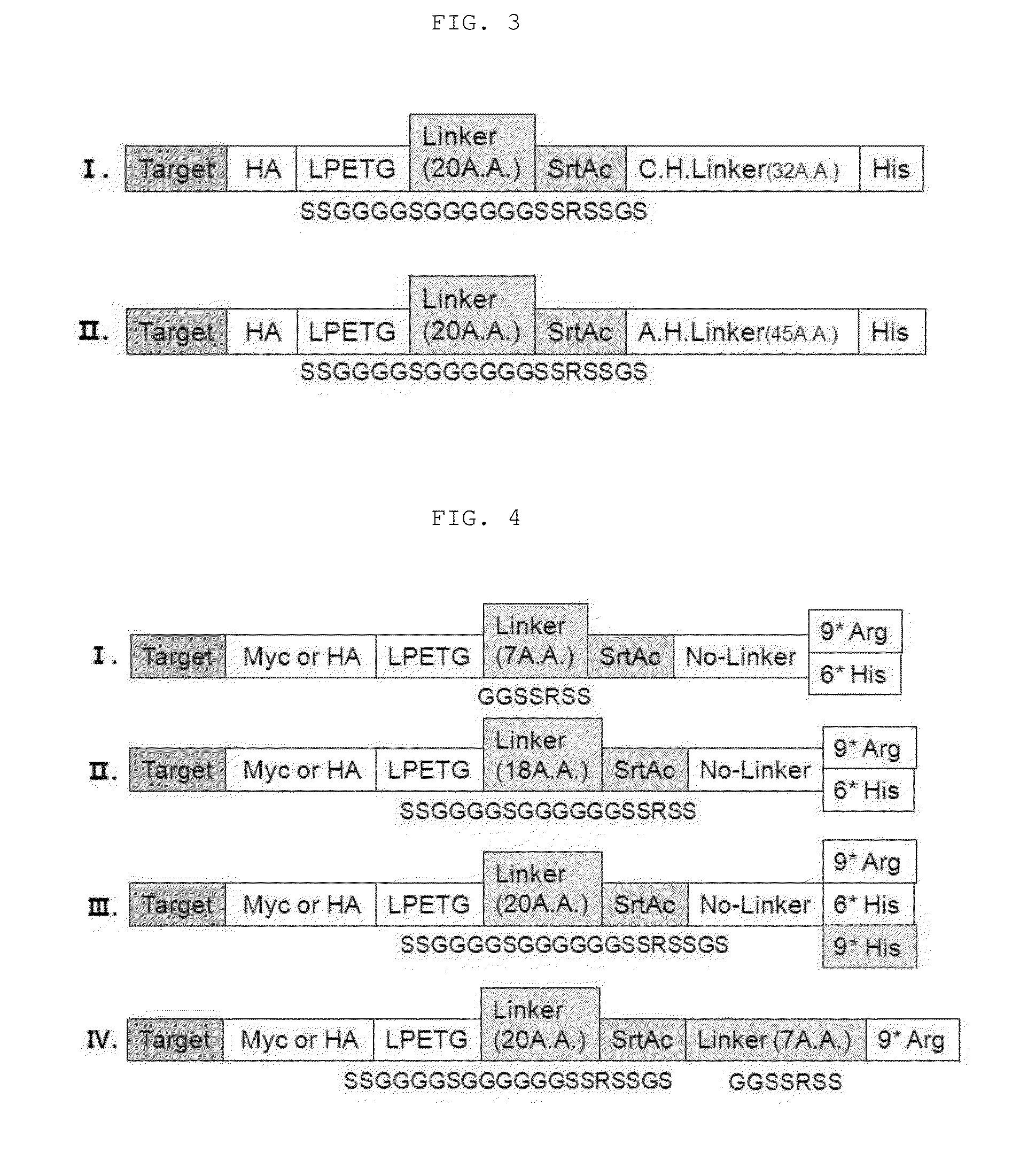 Method for refining protein including self-cutting cassette and use thereof