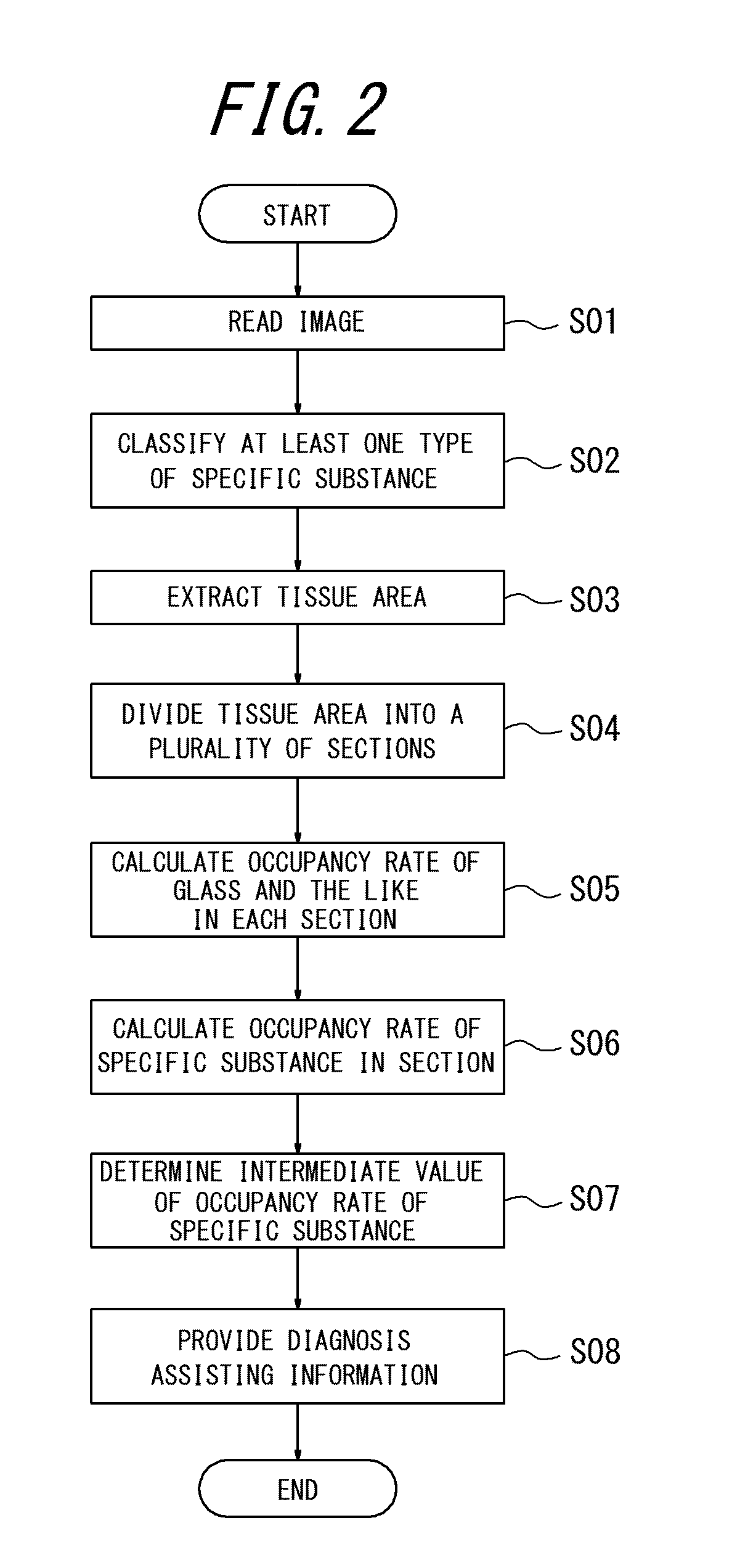 Pathological diagnosis assisting apparatus, pathological diagnosis assisting method and non-transitory computer readable medium storing pathological diagnosis assisting program