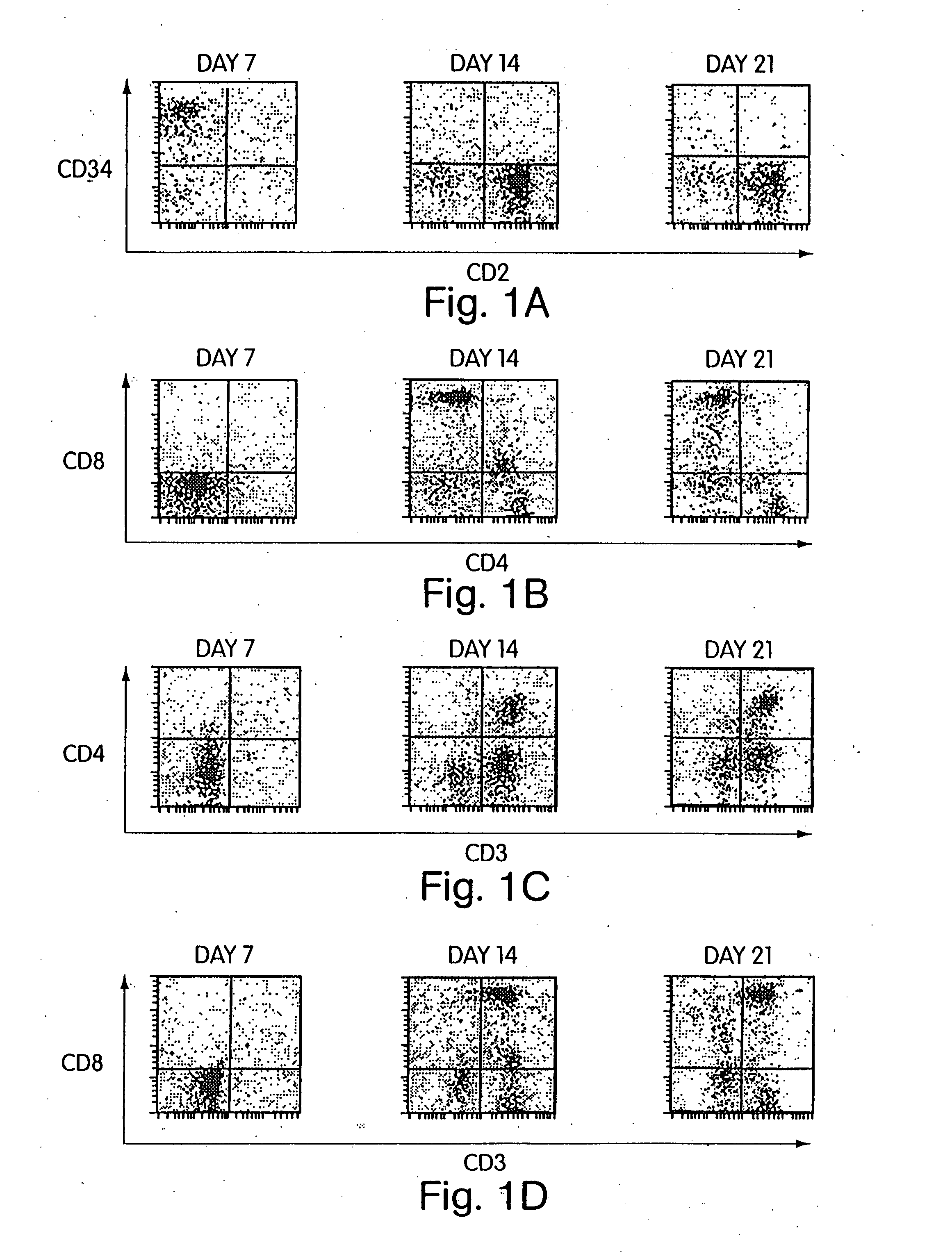 Lymphoid tissue-specific cell production from hematopoietic progenitor cells in three-dimensional devices