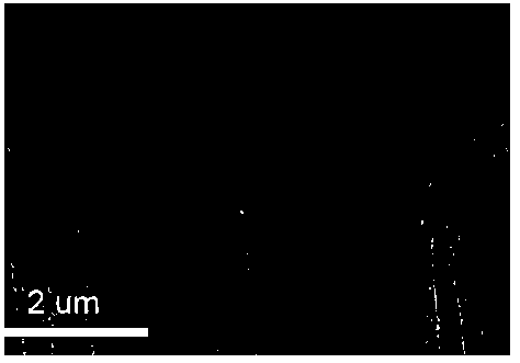 Glucose hydrothermal carbon and nitrogen co-doped graphite felt electrode and preparation method and application thereof