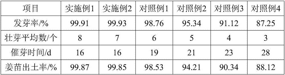 High-yield cultivation method of ginger