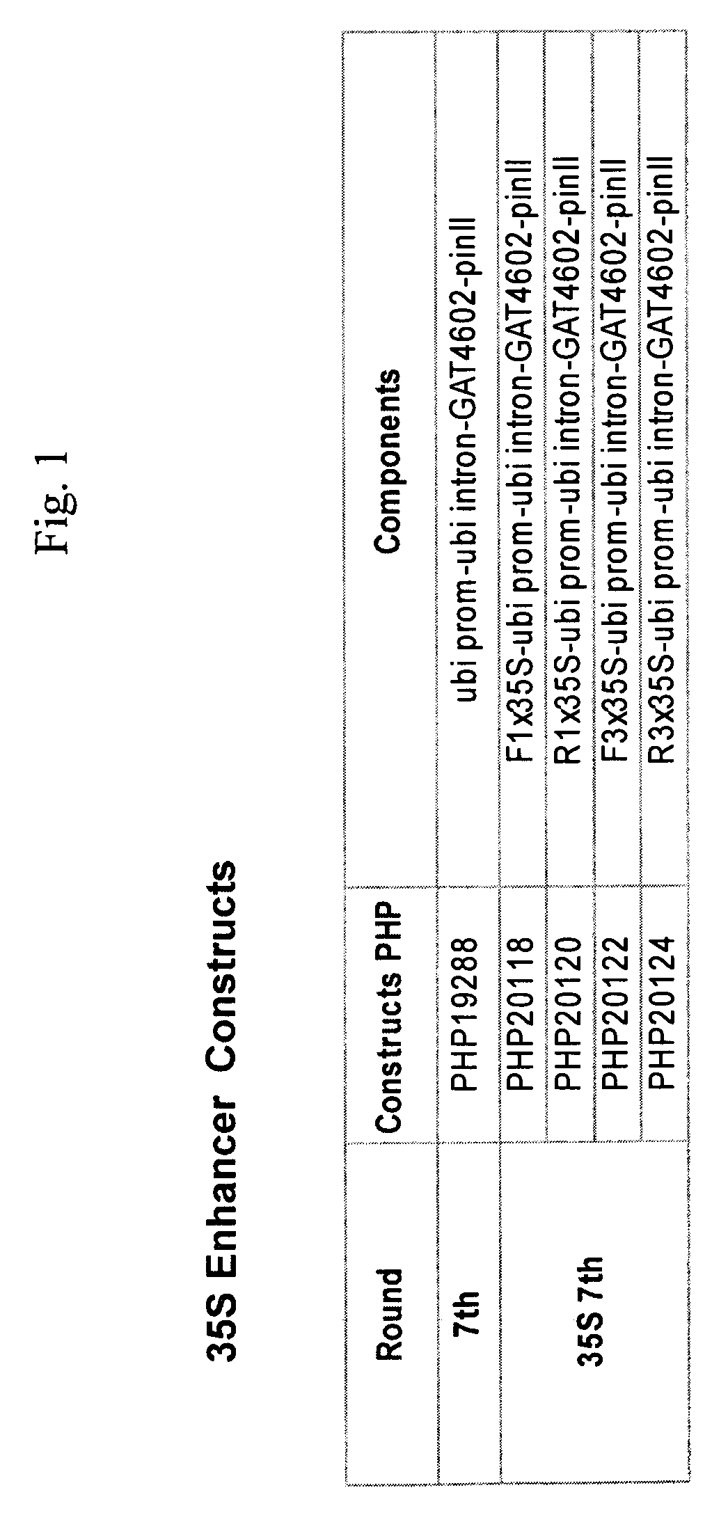 Methods and compositions for expressing an herbicide-tolerant polynucleotide