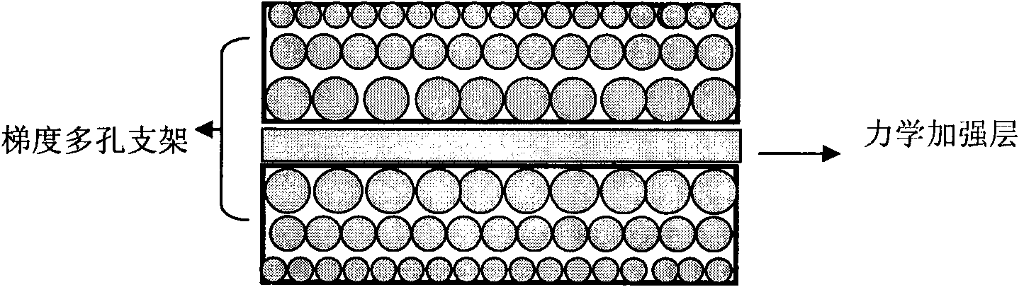 Method for preparing high-strength rib grads multi-aperture bracket