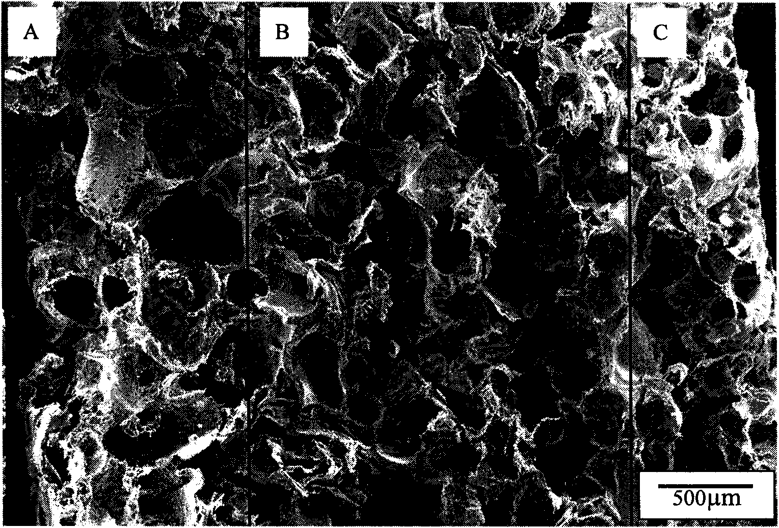 Method for preparing high-strength rib grads multi-aperture bracket