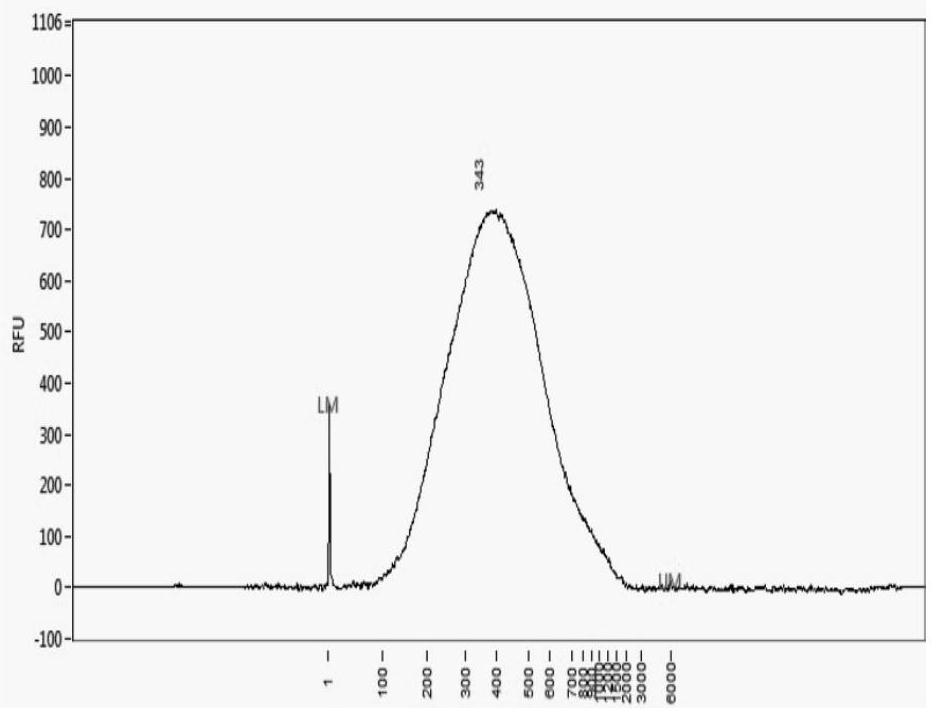 Construction method of single cell transcriptome sequencing library and applications thereof