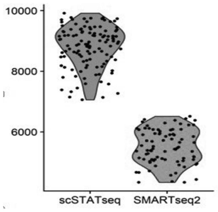 Construction method of single cell transcriptome sequencing library and applications thereof