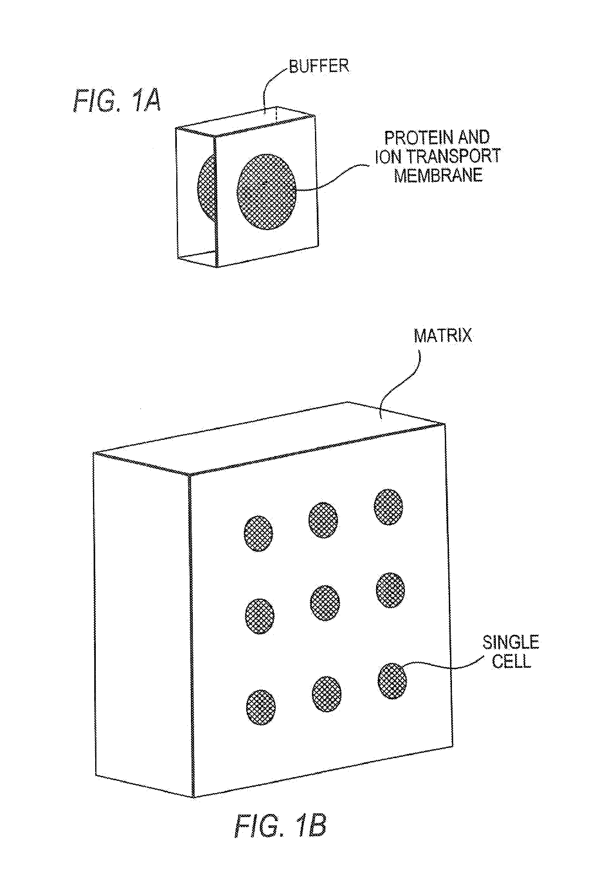 Matrixes, arrays, systems and methods